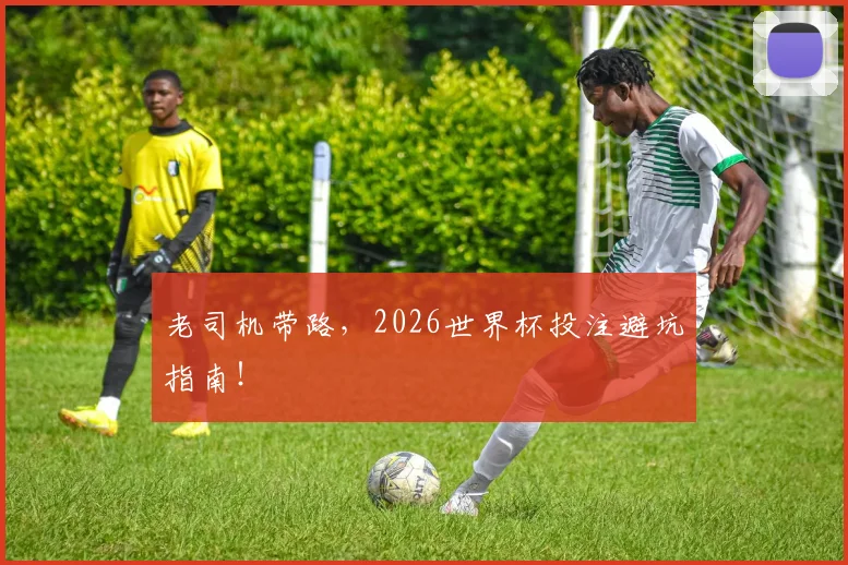 老司机带路,2026世界杯投注避坑指南!