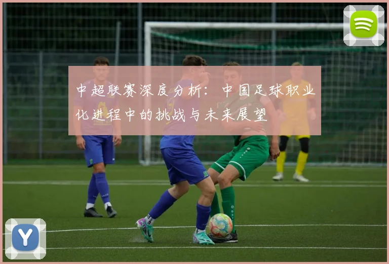 中超联赛深度分析：中国足球职业化进程中的挑战与未来展望