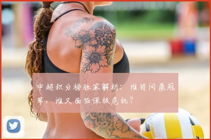 中超积分榜独家解析:谁将问鼎冠军,谁又面临保级危机?