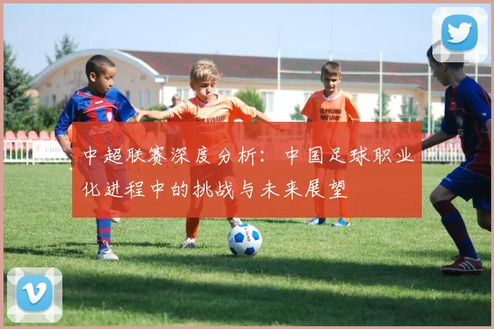 中超联赛深度分析:中国足球职业化进程中的挑战与未来展望